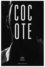 Кокоте