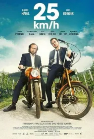 25 км/ч