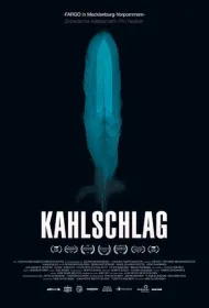 Вырубленный лес