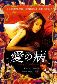 До чего доводит любовь