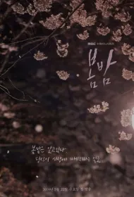 Весенняя ночь