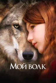 Мой волк