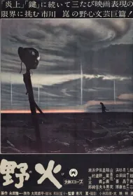 Полевые огни	