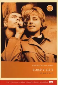 Солнце в сети