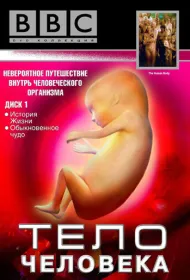 BBC: Тело человека