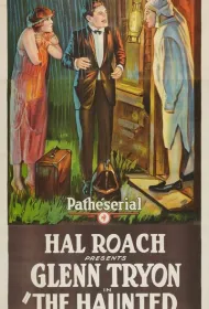 Дикая груша