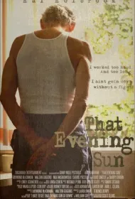 Это вечернее солнце