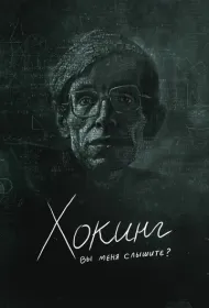 Хокинг: вы меня слышите?