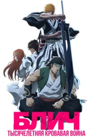 Блич: Тысячелетняя кровавая война