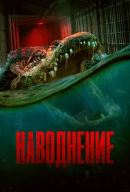 Наводнение