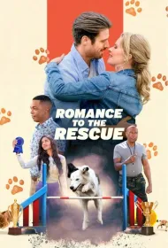 Дрессировка любви