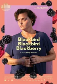 Дрозд, дрозд, ежевика