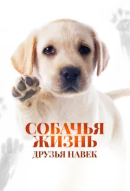 Собачья жизнь: Друзья навек
