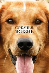 Собачья жизнь