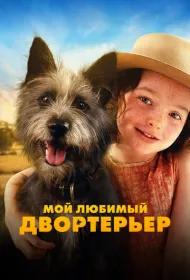 Мой любимый двортерьер