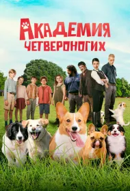 Академия четвероногих