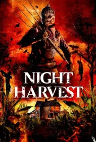 Ночной урожай