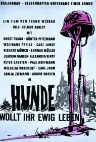 Собаки, хотите жить вечно?