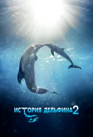 История дельфина 2