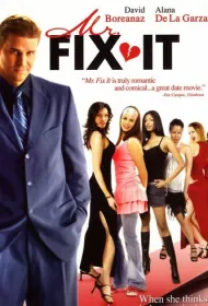 Мистер «Все исправим»