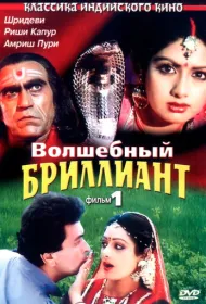 Волшебный бриллиант. Фильм 1