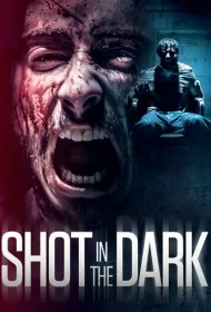 Выстрел в темноте