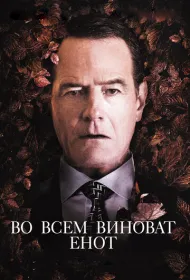 Во всем виноват енот